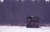 Podlasie