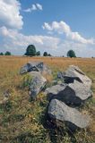 Rezerwat Głazowisko Suwalski Park Krajobrazowy