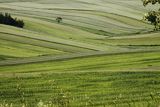 Szachownica pól, Roztocze Środkowe