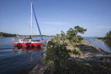 Safran, trismus 37 w naturalnej przystani, Sjalglo Udden, Archipelag Turku, Szkiery Fińskie, Finlandia