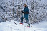 skitouring
