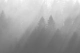 smugi mgły i światła nad lasem, Bieszczady