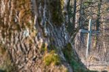 Krzyż na starym cmentarzu, Sokołowa Wola, Bieszczady