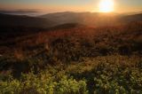 Świt na Połoninie Wetlińskiej, podczas pleneru Bieszczady dniem i nocą,26-28.09.2014