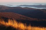 Inwersja, mgły w dolinach, widok z Połoniny Wetlińskiej, Bieszczady