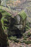Wilczy Szaniec koło Kętrzyna, Mazury