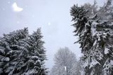Pada śnieg