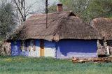 chata, Złaków Borowy, Mazowsze