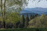 Widok z Żurawina na Połoniny, Bieszczady