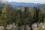 Widok z Żurawina na Połoniny, Bieszczady